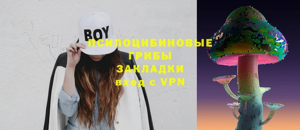 индика Иннополис