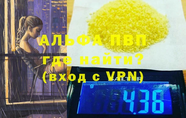 индика Иннополис