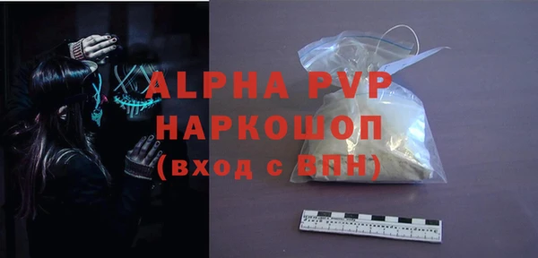 индика Иннополис
