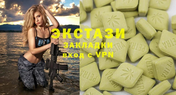 индика Иннополис