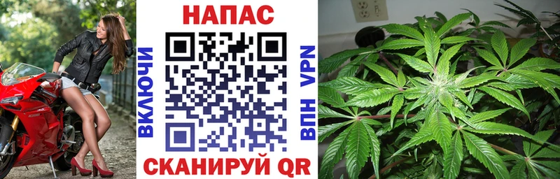 Шишки марихуана Amnesia  купить  цена  Малая Вишера 